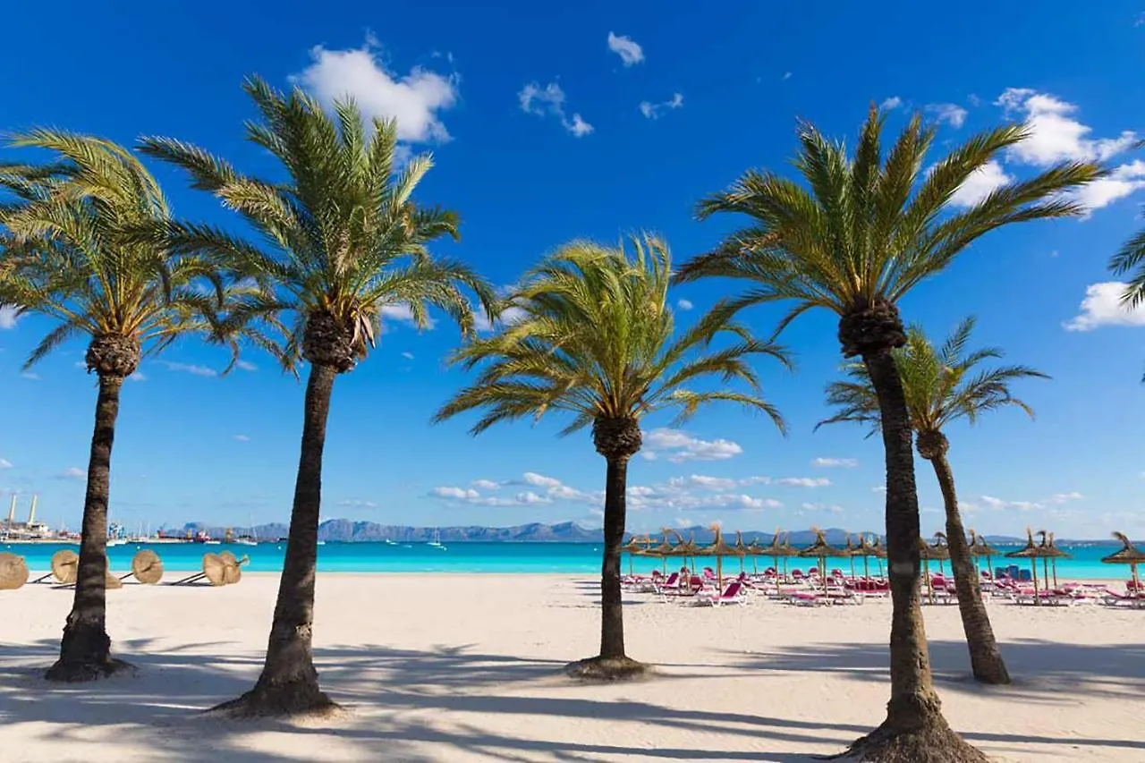 Feriehus House Es Convent In Alcudia, Close To Beaches